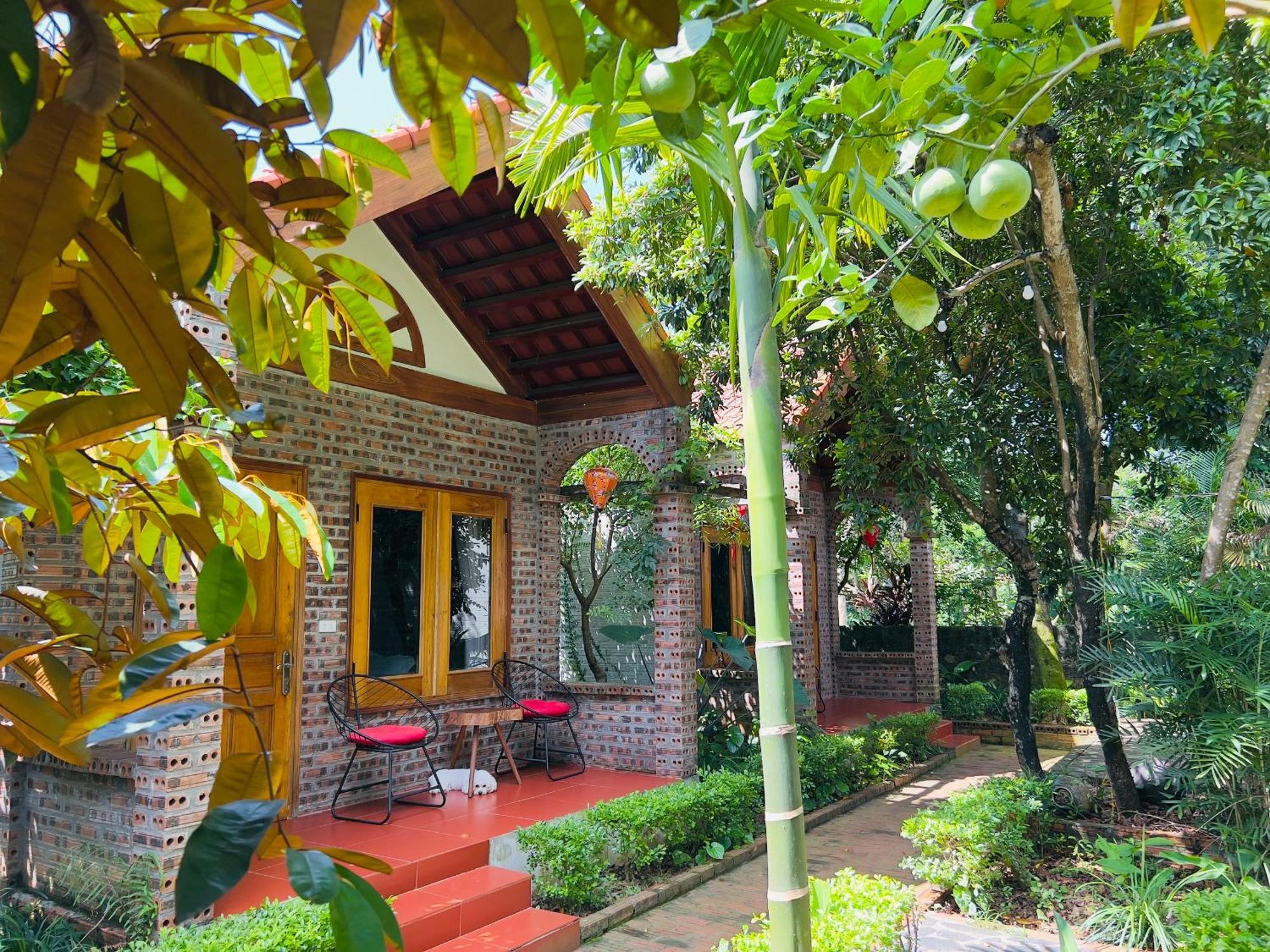Ninh Binh Family Homestay מראה חיצוני תמונה