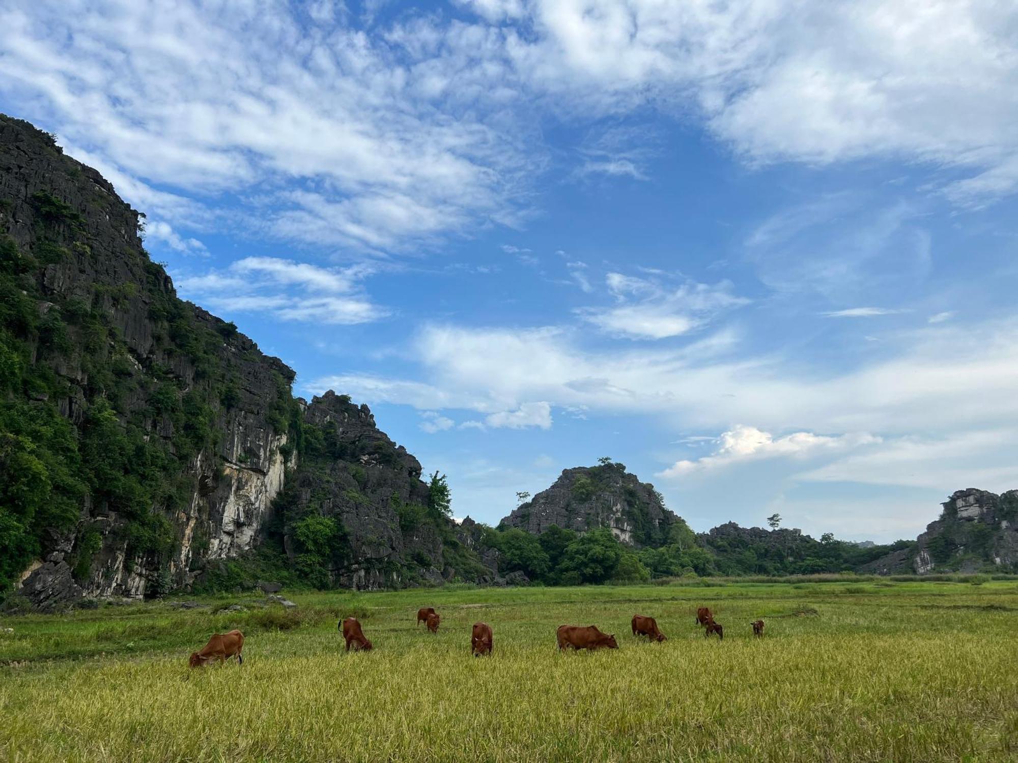 Ninh Binh Family Homestay מראה חיצוני תמונה