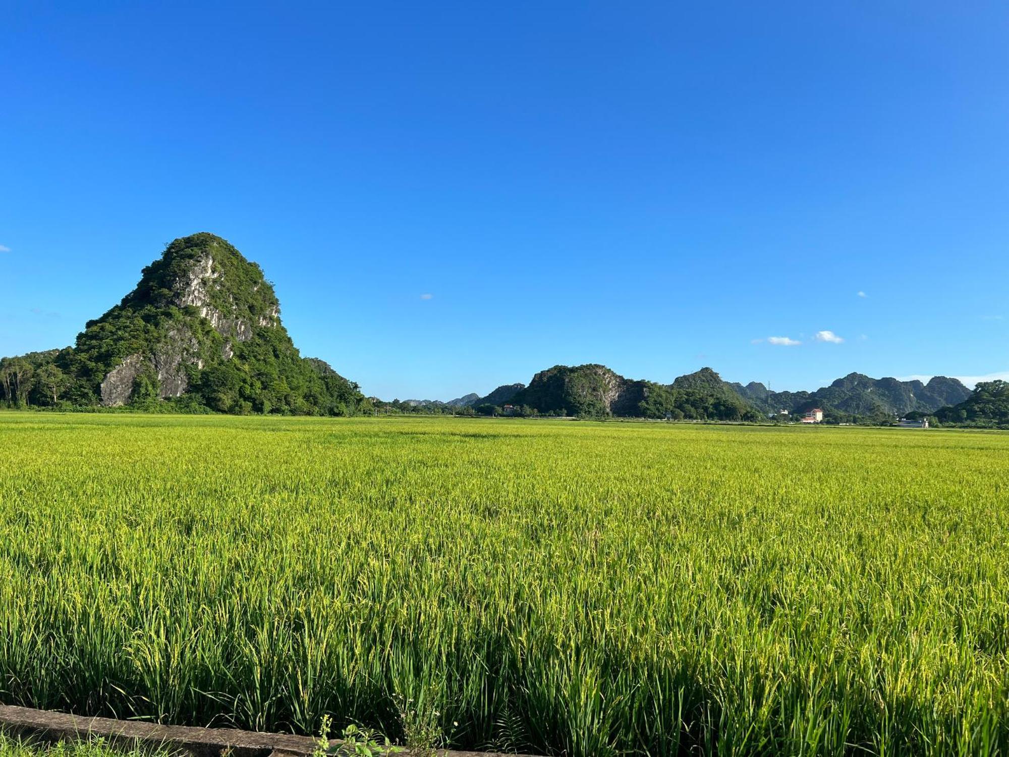 Ninh Binh Family Homestay מראה חיצוני תמונה