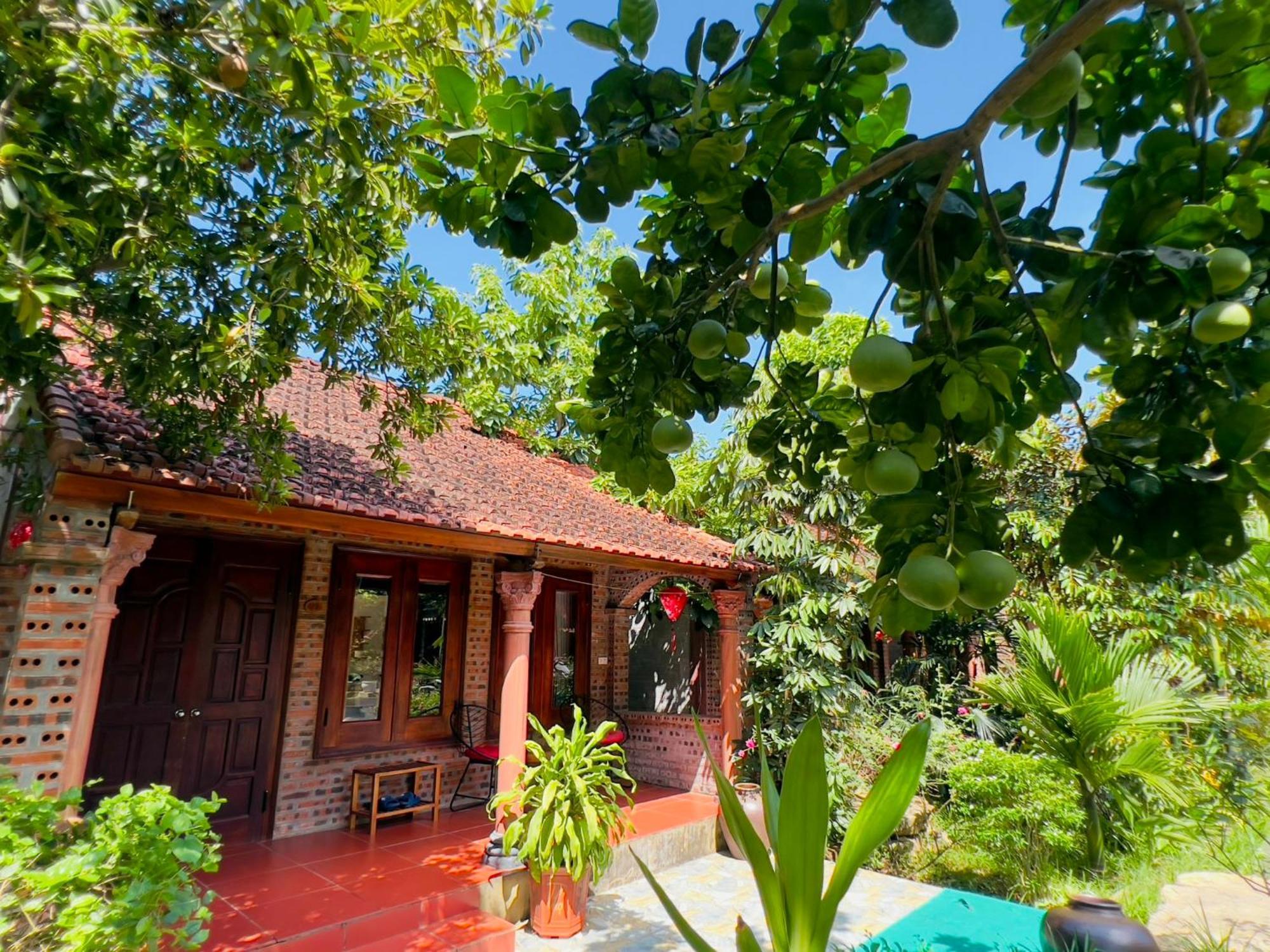 Ninh Binh Family Homestay מראה חיצוני תמונה